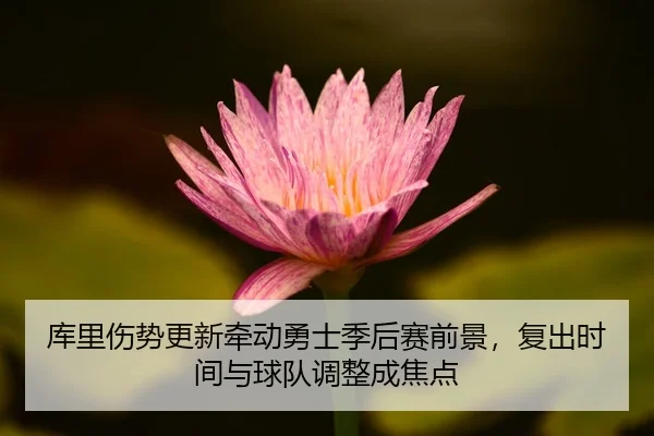 库里伤势更新牵动勇士季后赛前景，复出时间与球队调整成焦点