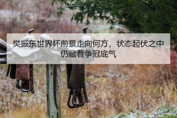 樊振东世界杯前景走向何方，状态起伏之中仍藏着争冠底气