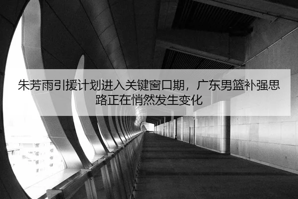 朱芳雨引援计划进入关键窗口期，广东男篮补强思路正在悄然发生变化