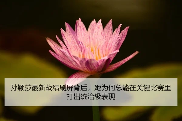 sun-ying-sha-zui-xin-zhan-ji-shua-ping-bei-hou-ta-wei-he-zong-neng-zai-guan-jian-bi-sai-li-da-chu-tong-zhi-ji-biao-xian-2-450.jpg